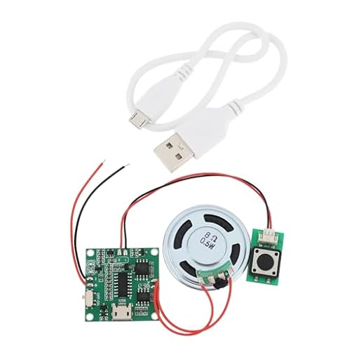 Be In Your Mind 8M Módulo de sonido reproductor de música programable con altavoz para caja de música de cumpleaños DIY tarjeta de felicitación | Ya disponible en tu tienda friki favorita! En mundofriki.es!