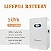 Dawnice 48V 10KWH Lithium Battery（2Sets*5kwh 100AH Solar Power Wall Mounted Grade A Cells 16S Built in 100A BMS Home Storage for Solar System