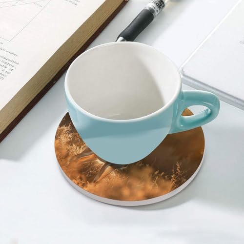 Dessous de verre en céramique lot de 6 avec support liège isolant pour table - 6