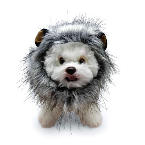 ybgp CIRXvXq 蕨 LpEBbO t  nEB LEp 28cm (O[, S)