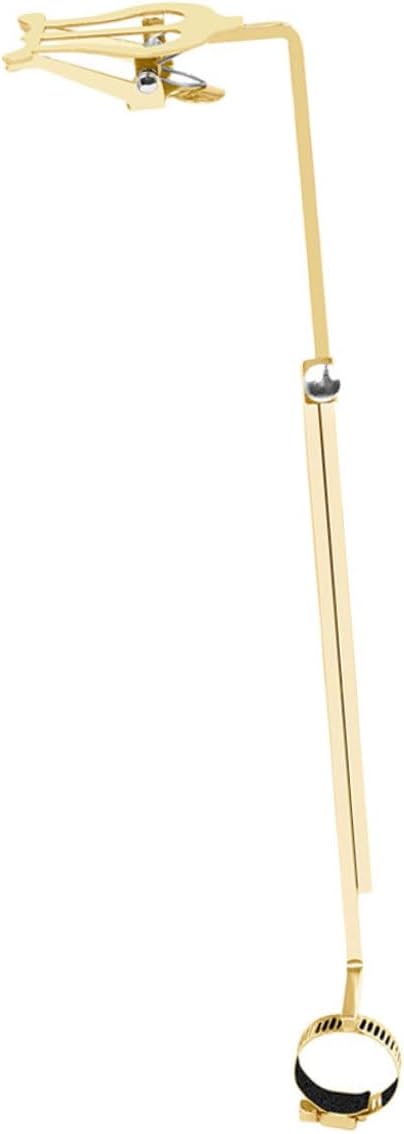 BESPORTBLE Portable Flute Lyre Music Sheet Holder Accessory for Marching Band Lightweight and Easy to Carry for Flutes and Other Instruments