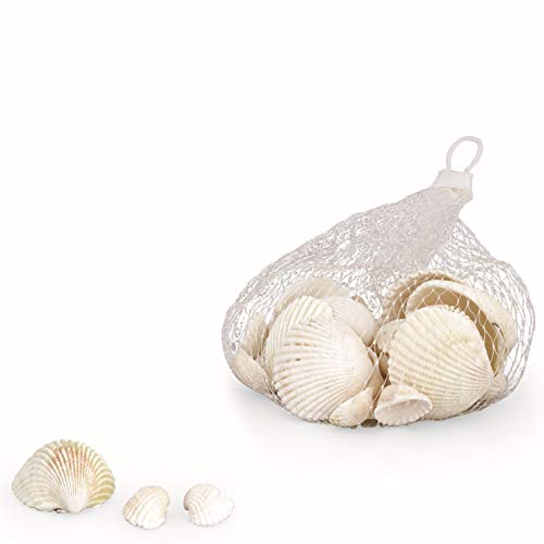 Formoso Art 28456 Sachet de résine de Coquillages naturels 140 g