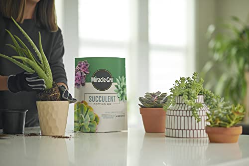 Image of Miracle-Gro Succulent Potting Mix, 4 qt. (2-Pack) | Potting Soil Mix for Indoor Succulents, Aloe Vera and More, Made with Miracle-Gro Plant Food