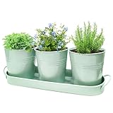 SORANGEUN Metal Herb Garden Planter Set with Tray, 3-Pack Green Zinc-Coated Windowsill Plant Pots with Drainage Holes & Handles for Indoor Outdoor Kitchen Garden
