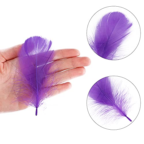 Coceca 500Pcs 3-5 Inches Colorful Feathers For Crafts Diy Wedding Home Party Decorations #TOP3