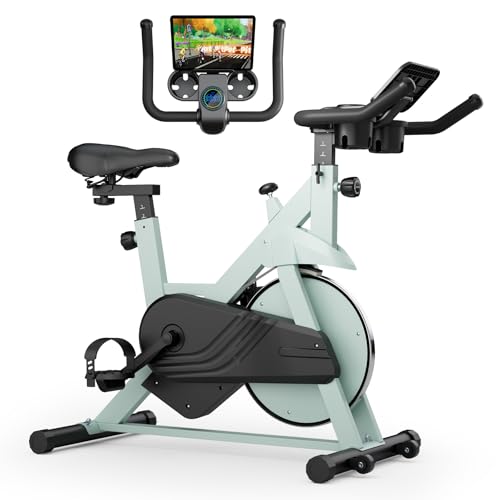 Lacuffy Indoor Cycling Bike