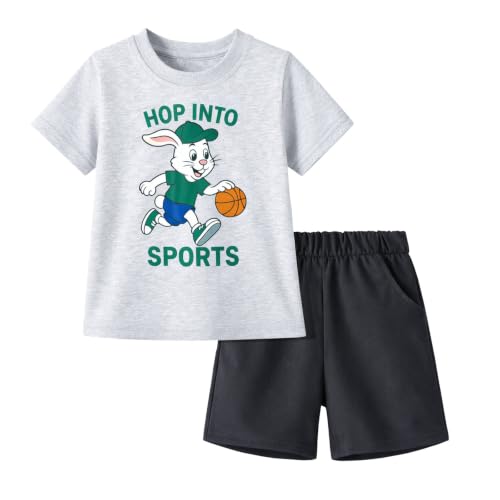 Image of HILEELANG Toddler Boy Summer Outfit Set 2 Piece Short Sleeve T Shirt and Short Soft Breathable Cotton Clothing Sets 2-7T