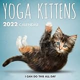 Yoga Kittens Calendar 2022: 2021-2022 calendar animals - animal wildlife calendar July 2021 to December 2022 with high quality cute animal photos for animal lover gifts for kids