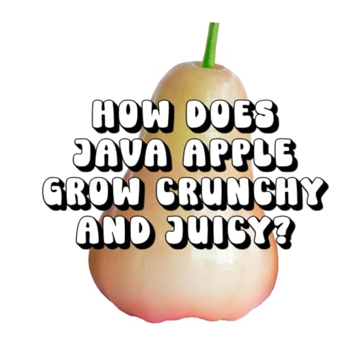 How Does Java Apple Grow Crunchy and Juicy?