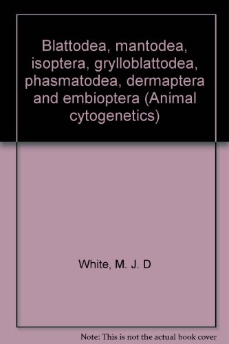 Animal Cytogenetics / Insecta / Blattodea, Mantodea, Isoptera, Grylloblattodea, Phasmatodea, Dermaptera and Embioptera