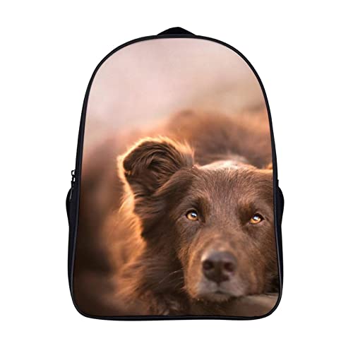 Sac à dos léger Australian Shepherd pour les cours au collège et les sorties
