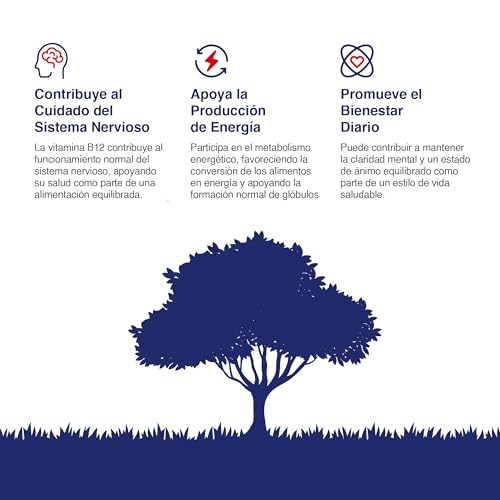 Vitaminas B12: Energía y salud 15 Imagen adicional