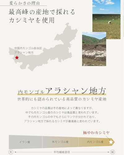 Filomo マフラー カシミヤ 100% の商品画像 4