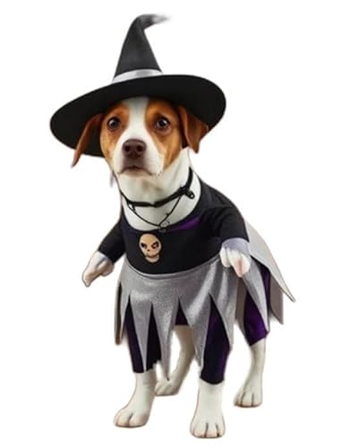 ICOUCHI ybg RXv ʔ 킢  nEB  RX`[ }g Xq ^Lp 蕨 񑫕s Uo  p[eB[ j RXv  (L,p[v)