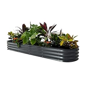 Vego garden Raised Garden Bed Kits, 11″ Tall 9 in 1 8ft X 2ft Metal Raised Planter Bed for Vegetables Flowers Ground Planter Box-Modern Gray