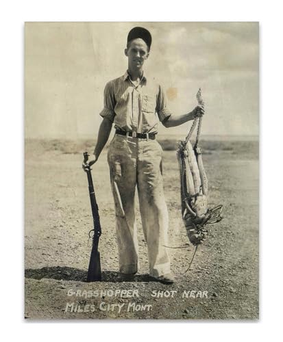 Make Em Laugh Man Holding a Freaky Giant Grasshopper Photo