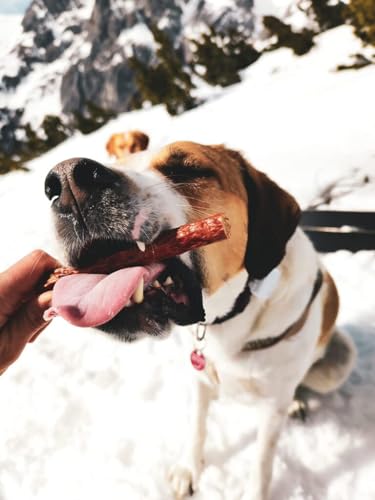 RAW Nature Hunde-Zigarre Pferd PUR 7-Stück - 100% natürliches Hundesnack - Monoprotein - hypoallergen & getreidefrei - luftgetrocknetes Pferdefleisch - Dörrfleisch - hochwertiges Muskelfleisch