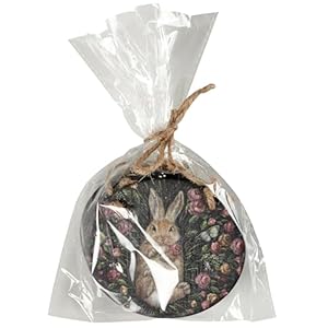 Primitives by kathy woodland spring ornament set  urban country home decor