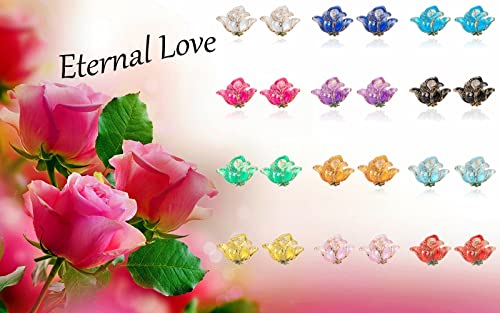 Spiritlele 12 Pairs Rose Flower Magnetic Earrings Set Clip On Non Piercing Fake Stud Earrings Pack For Women #TOP2