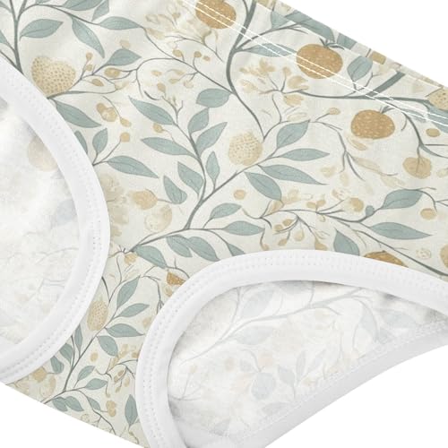 ZZKKO Farmhouse Fruit Floral Leaves Girls Underwear Toddler Panties for Girls Comfort Brief Size 2-8T3