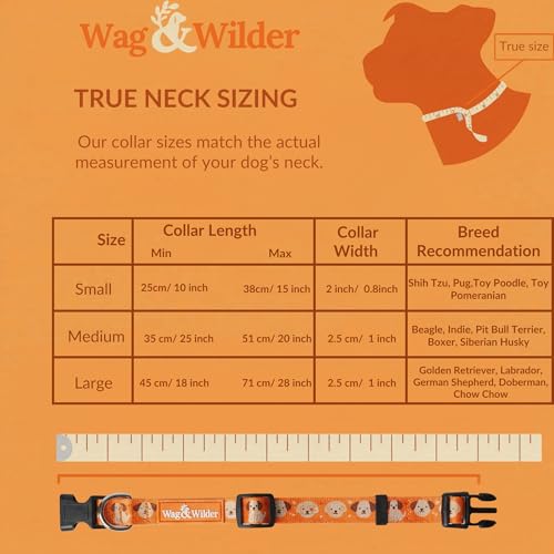 Image of Wag and Wilder Heavy Duty Dog Collar and 5 FT Leash Set for Large Dogs - Quick Release Buckle, Neoprene Padded Handle & Strong Metal Hook (Puppy Parade Orange)