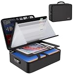 Tamfile Fireproof Document Box, Document Bag with Lock and 8 Pockets Accordion Folder A4 Document Organiser, Portable File Storage Box with Labels for Passports, Certificates and Valuables, Black
