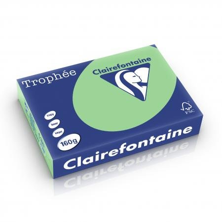 Clairefontaine 1120C - Karton mit 4 Ries à 250 Blatt Druckerpapier / Kopierpapier Trophée, DIN A4 (21x29,7 cm), 160g, Natürgrün Pastellfarbe, 1 Karton
