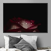 Framed Canvas Wall Art Flora Snapshot LIII Closeup Dark Expressive Farmhouse/Country Floral Multicolor Photography Realism Single - 16x24 inches