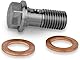 PrecisionGeek - Hohlschraube M10 x 1,00mm Edelstahl Bremssattel/Hauptzylinder L = 22mm
