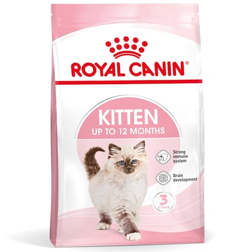 Royal Canin Chaton | 400 g | Aliment Complet pour Chatons en deuxième Phase de Croissance (jusqu'à 12 Mois)