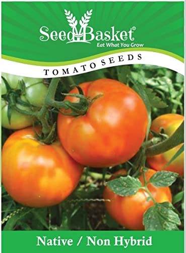 Seed Basket Native/Non-GMO Tomato Seeds for Home Gardening (400 Seeds with More than 70% Germination) And Instruction Manual (B09N1P3Q17) Amazon Price History, Amazon Price Tracker