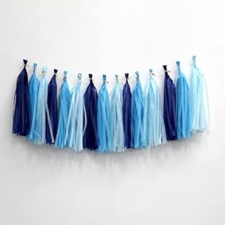 Rainbow Tissue Paper Tassels Multicolor Party Tassel Garland Banner Decorations, DIY Kits,30 PCS