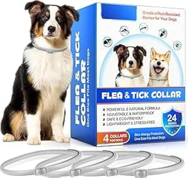 Collier Anti-Puces pour Chien - 4 Pièces, Protection 24 Mois, Réglable et Imperméable