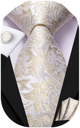 Dubulle Mens Paisley Striped Tie Woven Necktie for Men and Handkerchief Cufflinks Set Wedding Formal Business