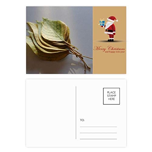 Cartes postales feuilles de Père Noël Simpol (lot de 20) pour vos vœux
