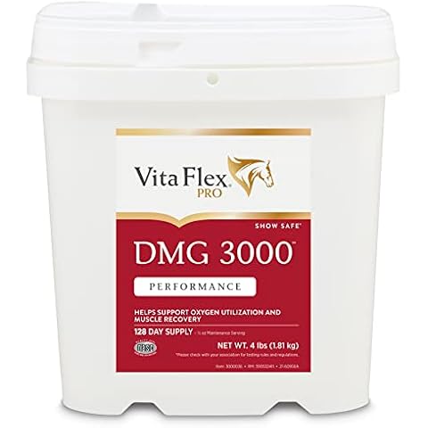 Vita Flex Pro DMG 3000 Horse DMG Concentrate, 4 Pounds, 128-Day Supply Cover