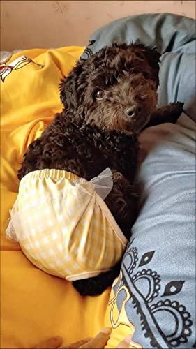 Image of Small Dog Sanitary Panties, Lace Washable Reusable Cute Puppy Panties Pet Underwear Diaper Physiological Shorts for Female Girls Dogs(Plaid 3 Pack,S)