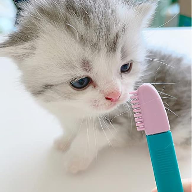Cat Grooming Brush - Pet Eye and Acne Cleaner, Tear Stain Remover Comb for Small Dogs and Cats-hZPMmjYt