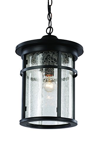 Trans Globe Lighting Tg40386 Bk Transitional One Hanging Lantern Outdoor-Post-Lights, 16", Black #TOP7