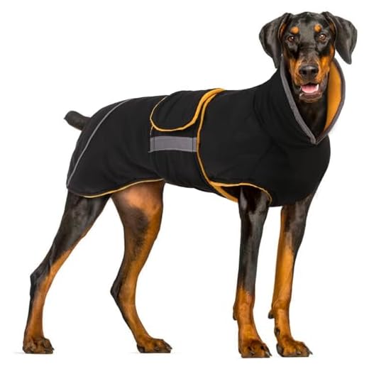 Giacca Invernale Riflettente per Cani