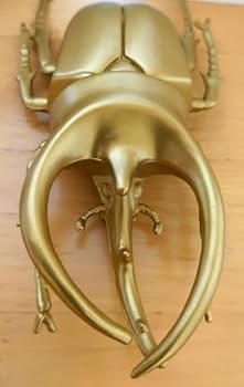 PSA10　コーカサスオオカブト　2003 AUTUMN　ステータス黄色 PSA10 コーカサスオオカブト 2003 AUTUMN ステータス黄色 PSA10