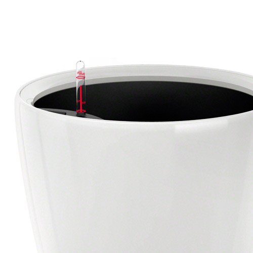 Amazon.co.jp: レチューザ LECHUZA クラシコ・ジョーカー35 Classico