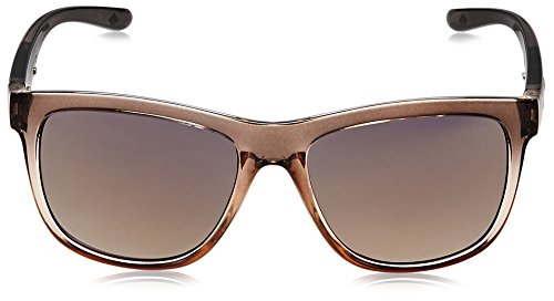 Image of Lee Cooper Gradient Aviator Unisex Sunglasses - (LC9000FOA C1 62|62|Grey Color Lens)