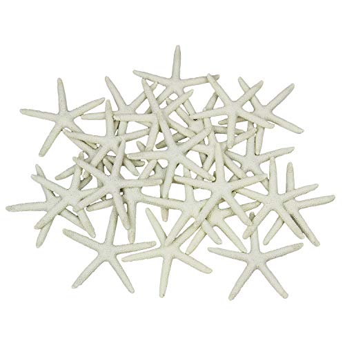LJY 25 Pieces 3.15 Inches Beige Resin Pencil Finger Starfish for Wedding Home Decor and Craft Project