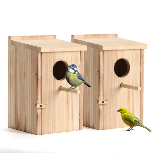 2 Pack Bird Houses for Outside, Hummingbird House Outdoor, Birdhouse kit,Bluebird Finch Swallow Wren