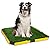 HUILE Dog Toilet with Artificial Grass for Dogs Pee Pads-Artificial Grass Bathroom Mat-Portable Potty Trainer Tray for Indoor and Outdoor Use (21 in x 21 in)