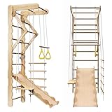 5-in-1 Indoor Playground Swedish Ladder Jungle Gym with Swing,Pull-Up Bar,Rope Ladder,Climbing Wall,Slide and Gymnastic Rings for Kids Ages 4-8