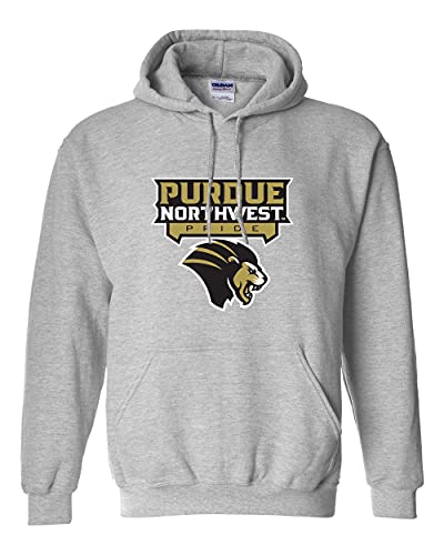 CreateMyTee | Purdue Northwest Pride Three Color Logo Hooded Sweatshirt |