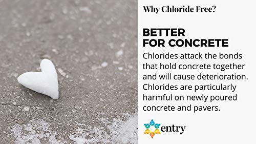 Branch Creek Entry Chloride-Free, Non-Toxic, Liquid Snow and Ice Melt Certified Safe for Pets, Plants, Floors, Concrete, Sidewalks, and Metal for Residential or Commercial Use (1 Gallon)