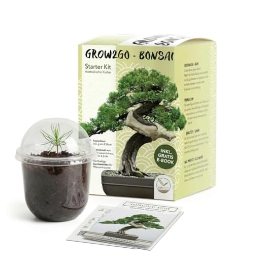 GROW2GO Bonsai Starter Kit Anzuchtset - Pflanzset aus Mini-Gewächshaus, Samen & Erde - nachhaltige Geschenkidee für Pflanzenfreunde (Australische Kiefer)